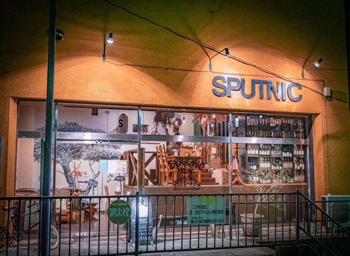 SPUTNIC