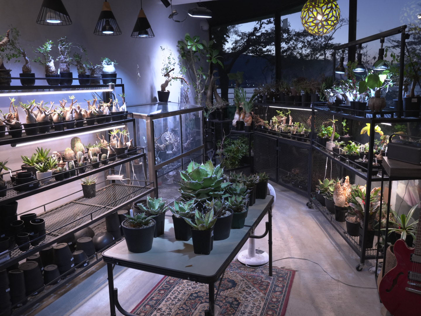 bioplants