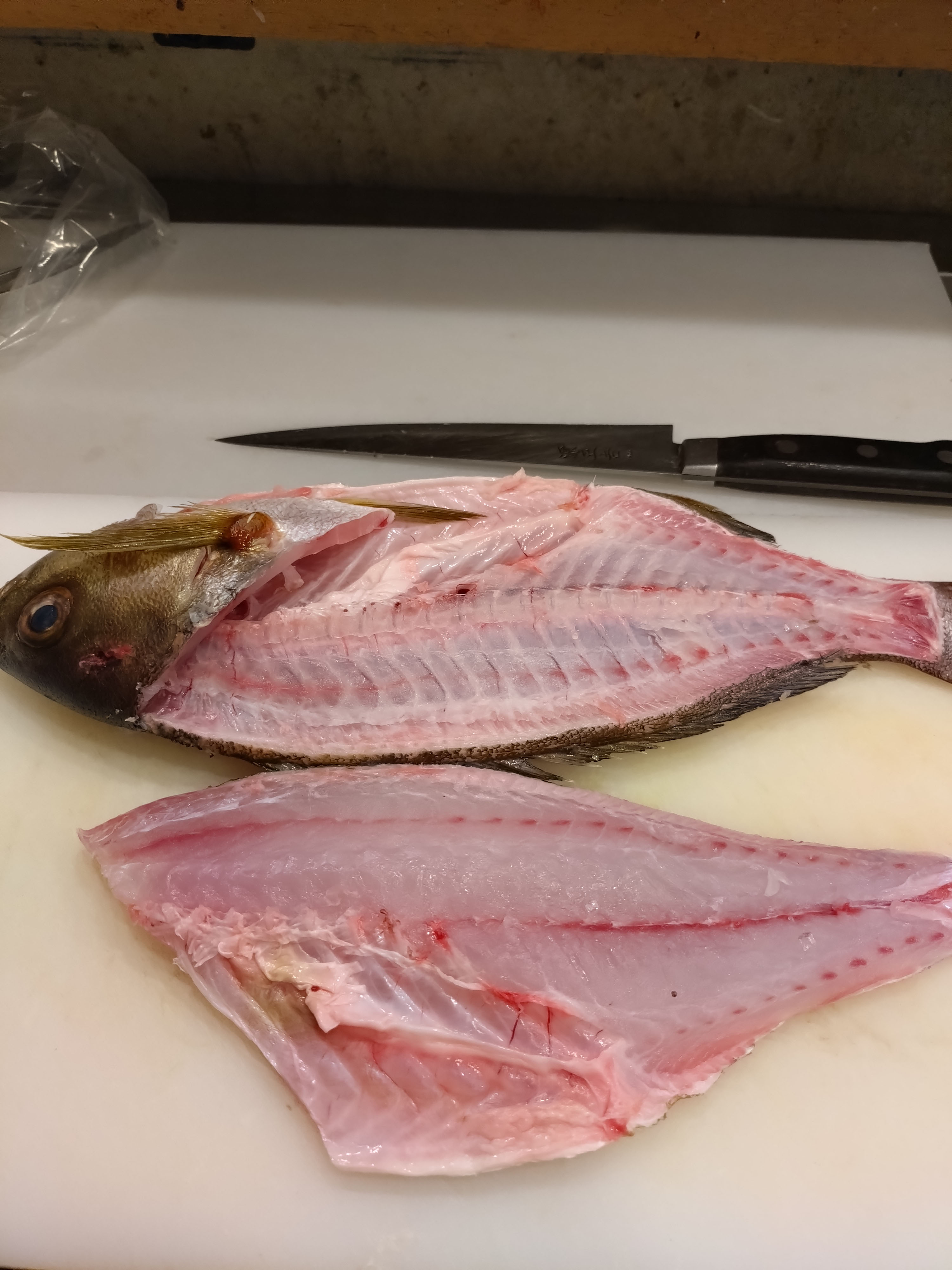 酒菜わをん