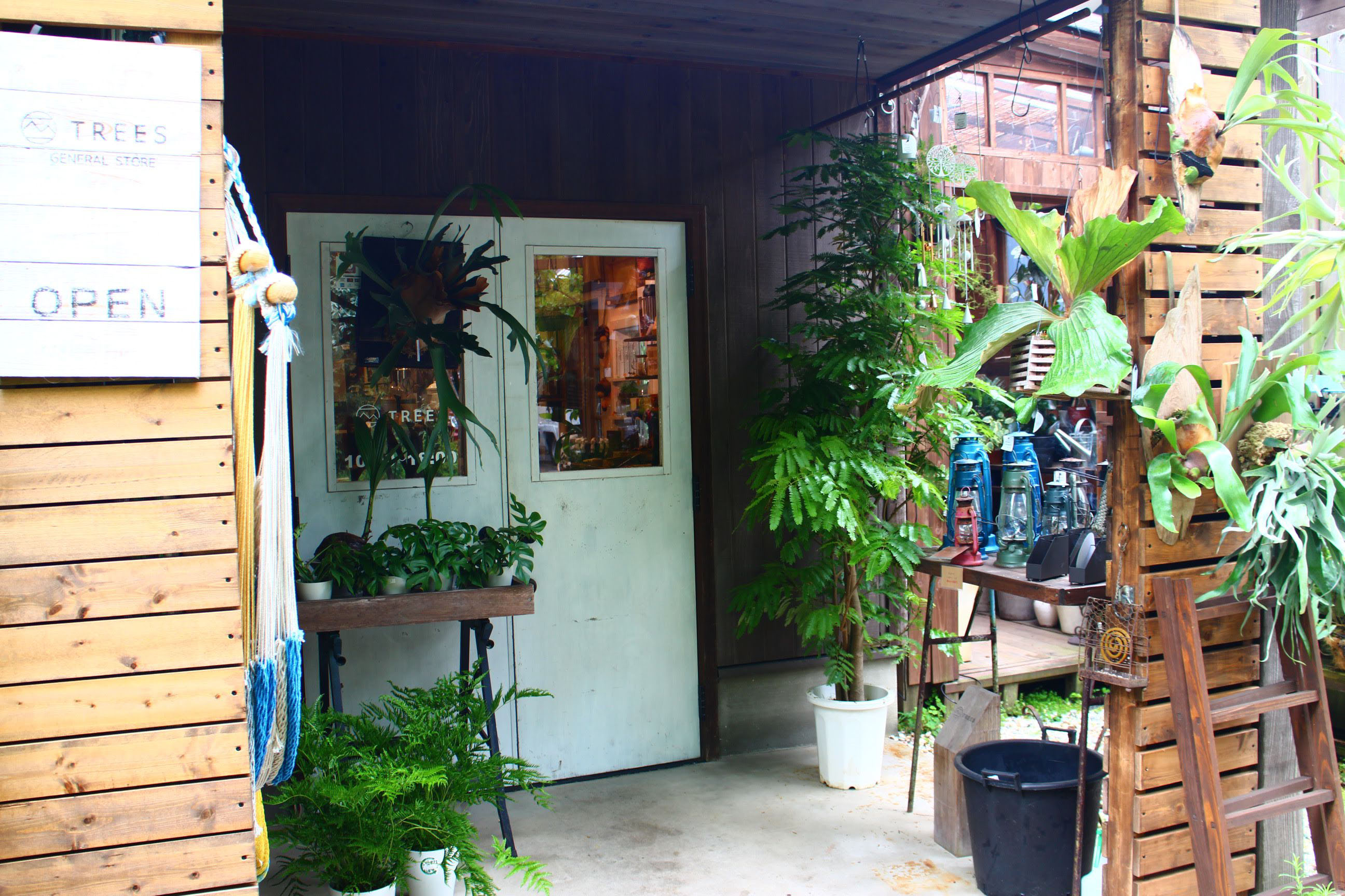 TREES GENRAL STORE