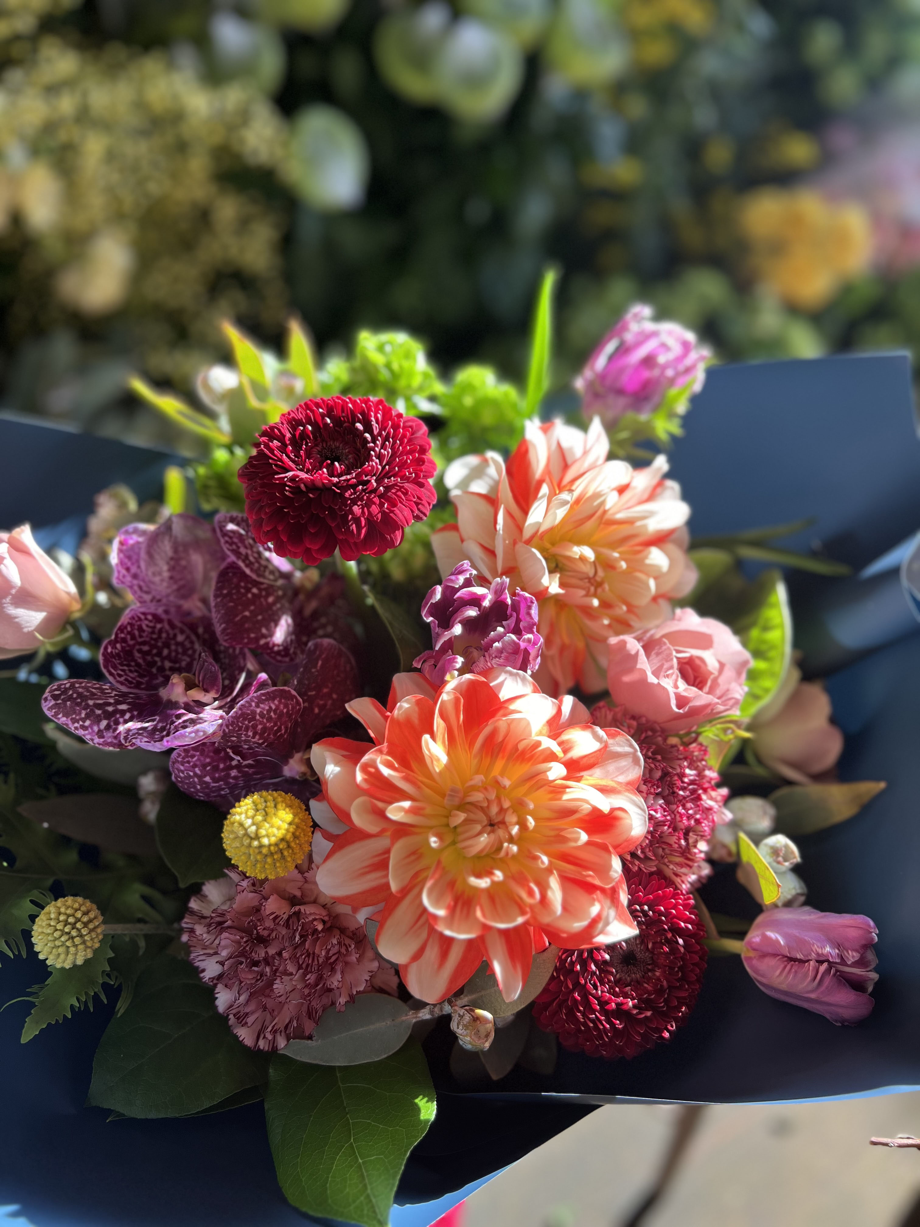 Flower秋桜