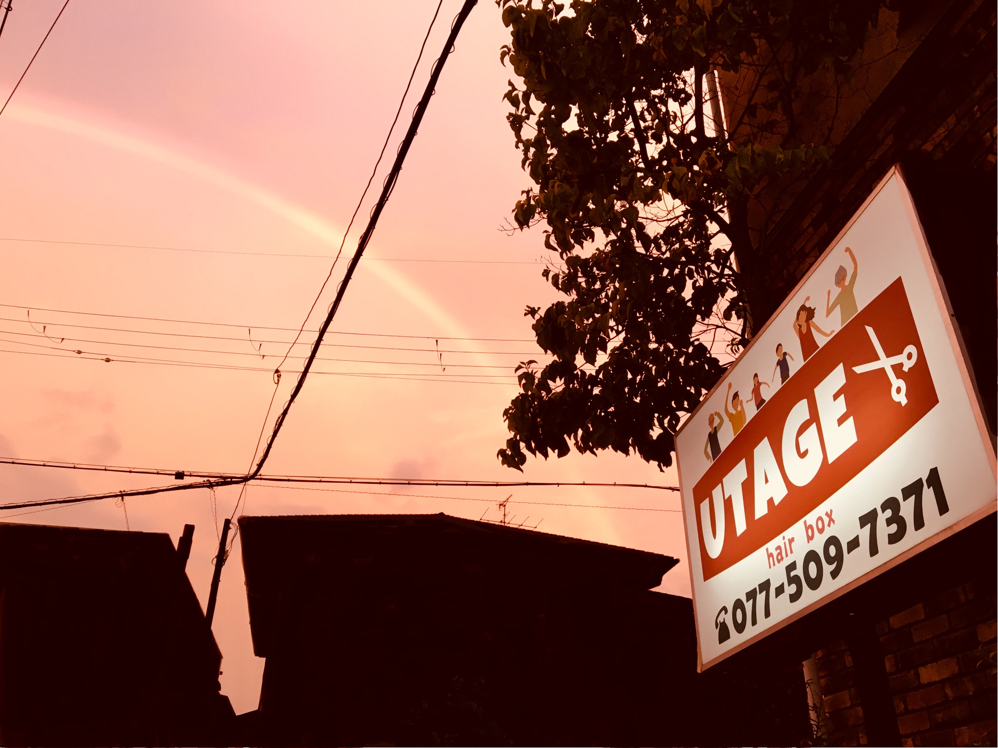 hairbox UTAGE