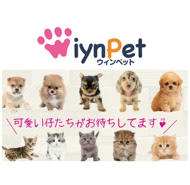 ＷＩＹＮペット　雄琴本店